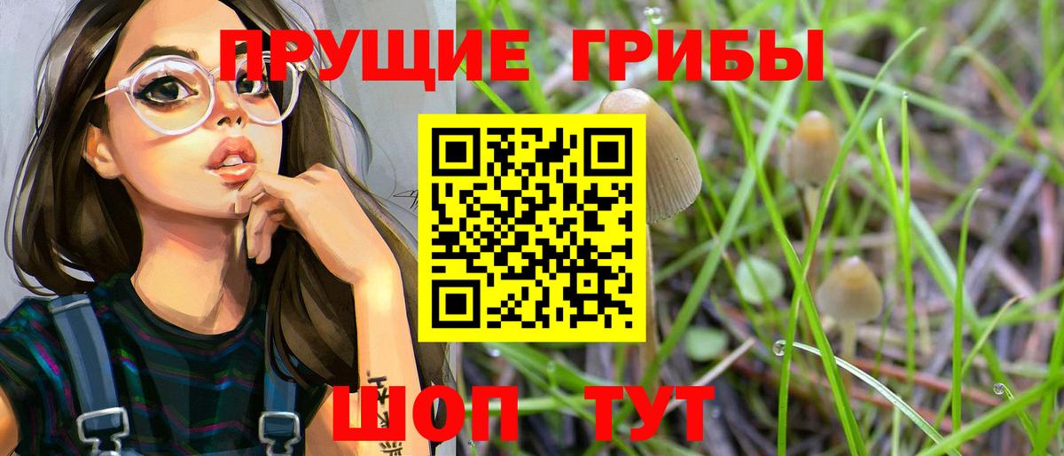 Псилоцибиновые грибы мухоморы Куйбышев